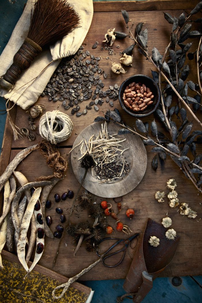 Collecting and storing the fruits of the garden for winter, dried seeds, herbs, nuts and vegetables. Seeds for the garden.